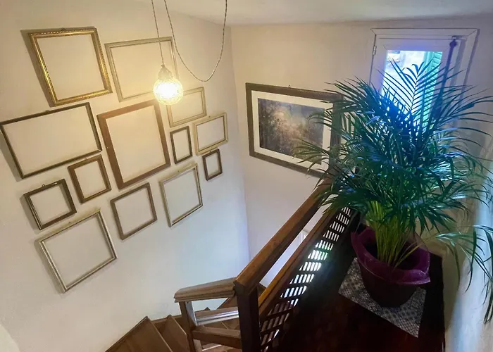 La Gialla Di Via Silvano 12 *